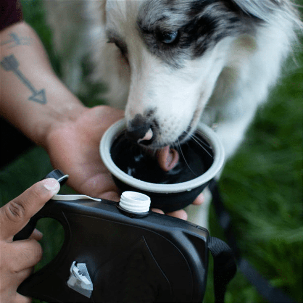 Multifunctional Dog Leash with Bowl